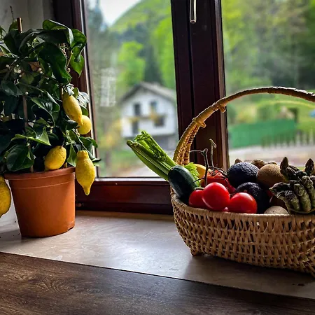 Lejlighed Herrenhaus Freiland *